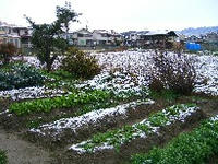 雪１