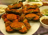 上海蟹１