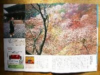 JAF 吉野雛２