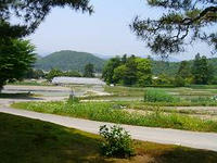 修学院離宮棚田