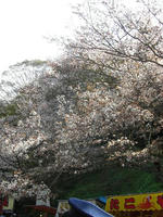 吉野山09-2