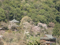 吉野山09-4