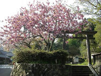 勝手神社１