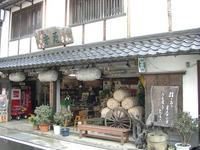 米屋さんの鯉