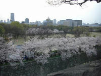 大阪城2