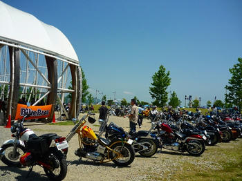 d3205f90.jpg