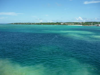 sP1030215.jpg