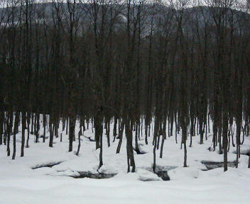 200803141321000.jpg