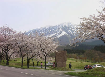 IMGA0516.JPG