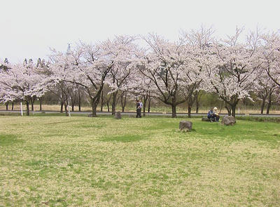 IMGA0540.JPG