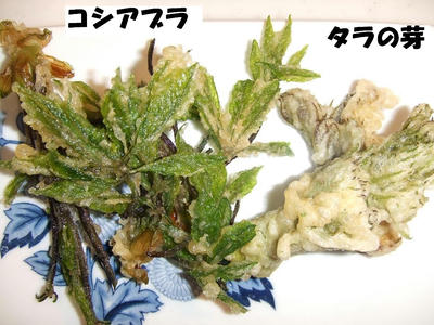 DSCF0833.jpg