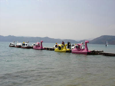 d5659d55.jpg