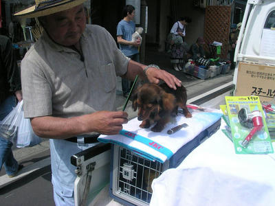 DSCN3461.JPG