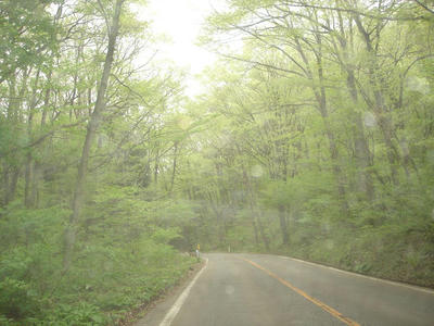 DSC00471.JPG