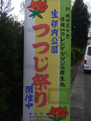 DSCF0915.jpg