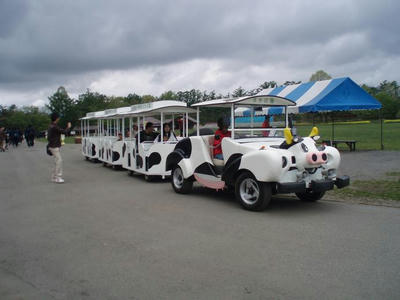 88c42d3f.JPG