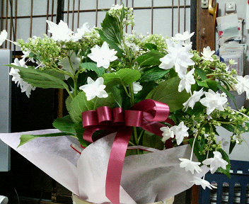 200805152216000.jpg