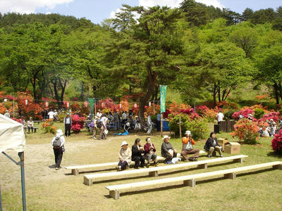 DSC00488.JPG