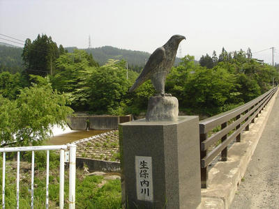 DSC00499.JPG