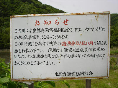 DSC00503.JPG