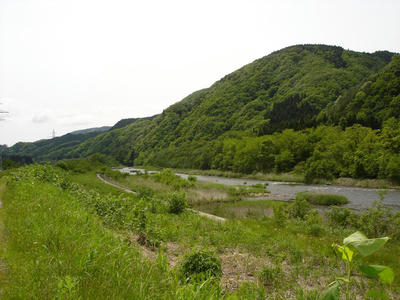 DSC00506.JPG