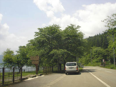 DSC00527.JPG