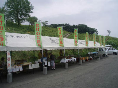 2d15d78e.JPG