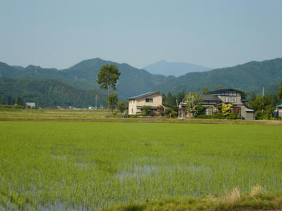 DSC00774.JPG