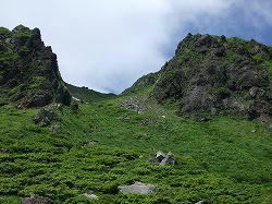 DSCF1137.jpg