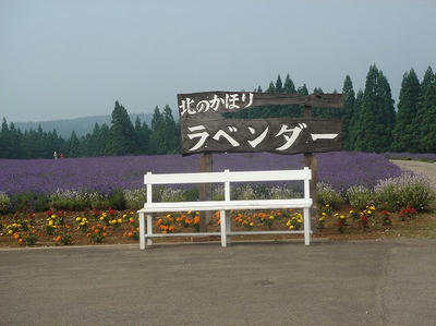509a5a61.jpg
