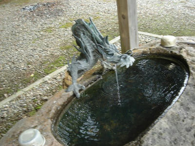 DSC02010.jpg
