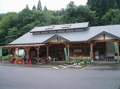 3ca81395.jpg