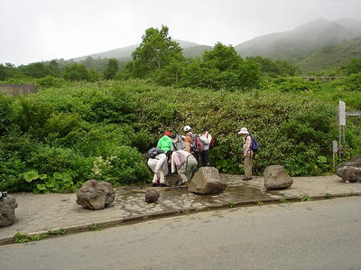DSC00639.jpg