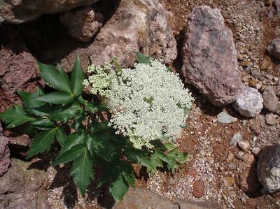 P7271295.jpg