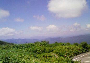 200808061127000.jpg