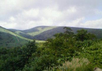200808061541000.jpg