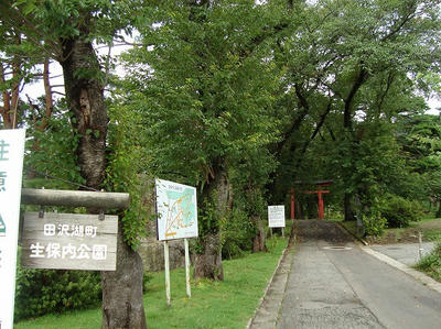 DSC00035.jpg