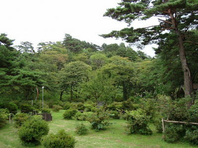 DSC00039.jpg
