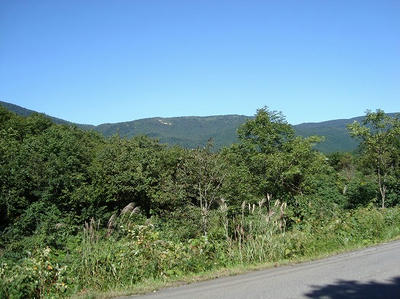 DSC00050.jpg