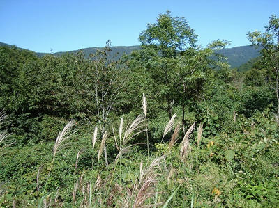 DSC00051.jpg