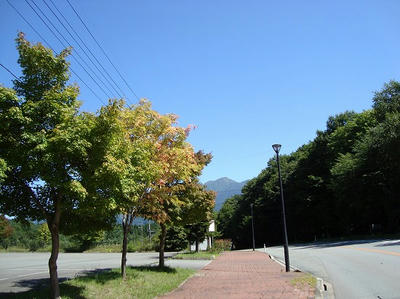 DSC00055.jpg