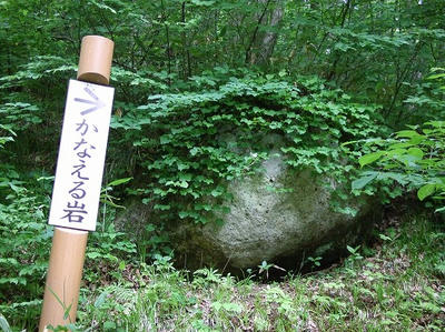 DSCF1038.jpg