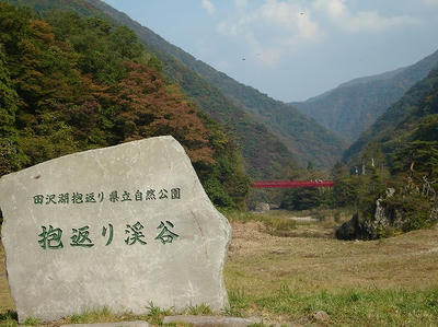 DSC00884.jpg