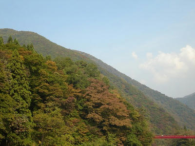 DSC00885.jpg