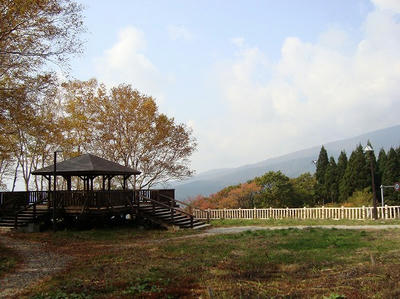DSC00100.jpg