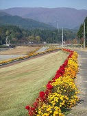 DSCF1743.jpg