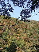 DSCF1760.jpg