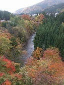 DSCF1792.jpg