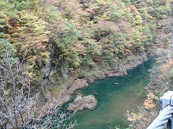 PB011577.jpg