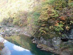 PB011590.jpg
